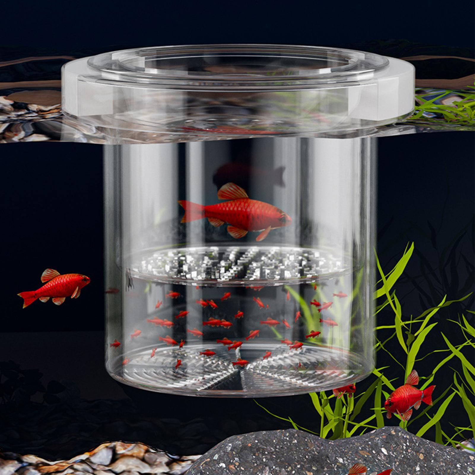 Durable Fish Breeder Box Fish  - Betta Fish Tank ulasan dan harga