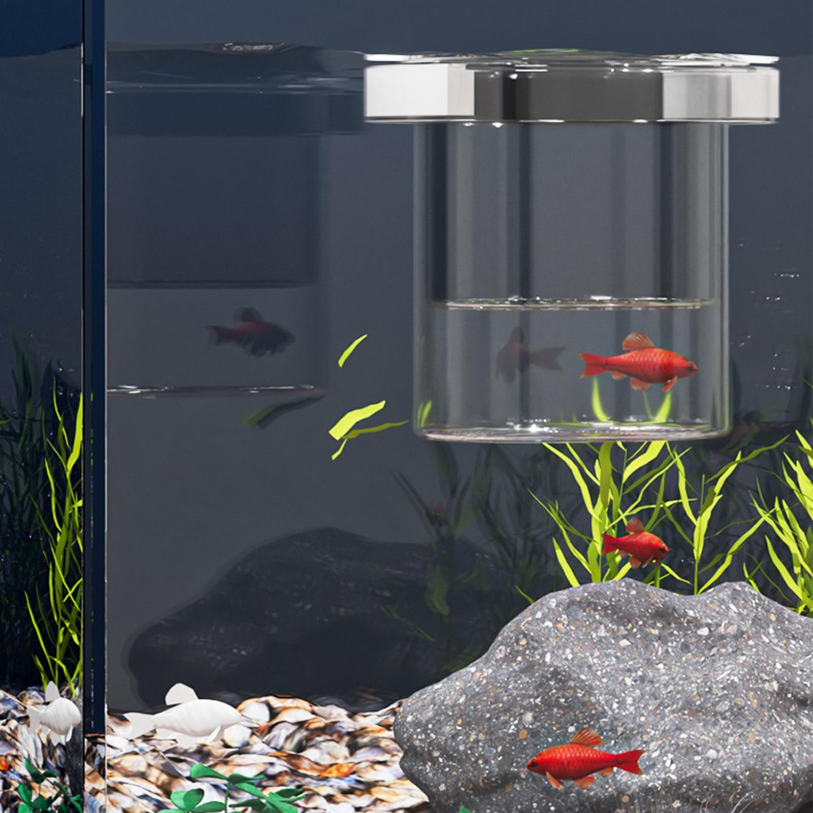 Durable Fish Breeder Box Fish  - Betta Fish Tank ulasan dan harga