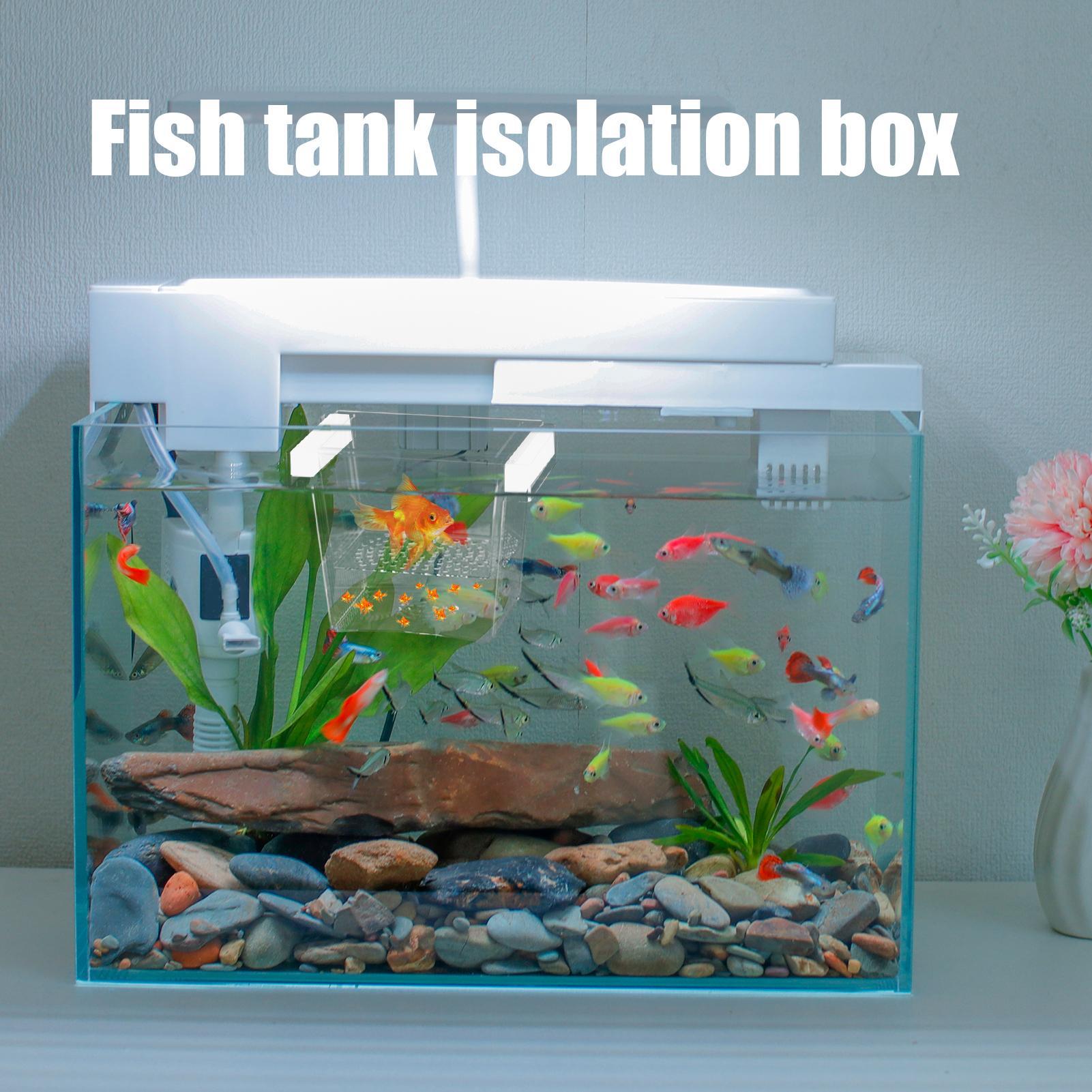 Durable Fish Breeder Box Fish  - Betta Fish Tank ulasan dan harga