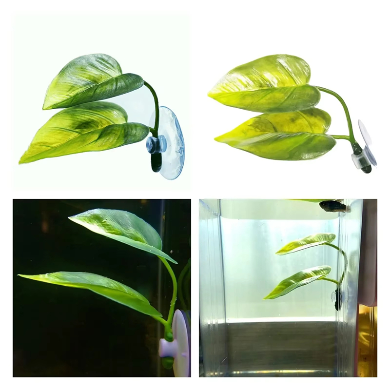 Aquarium Pet Supplies Decorati - Betta Fish Tank ulasan dan harga