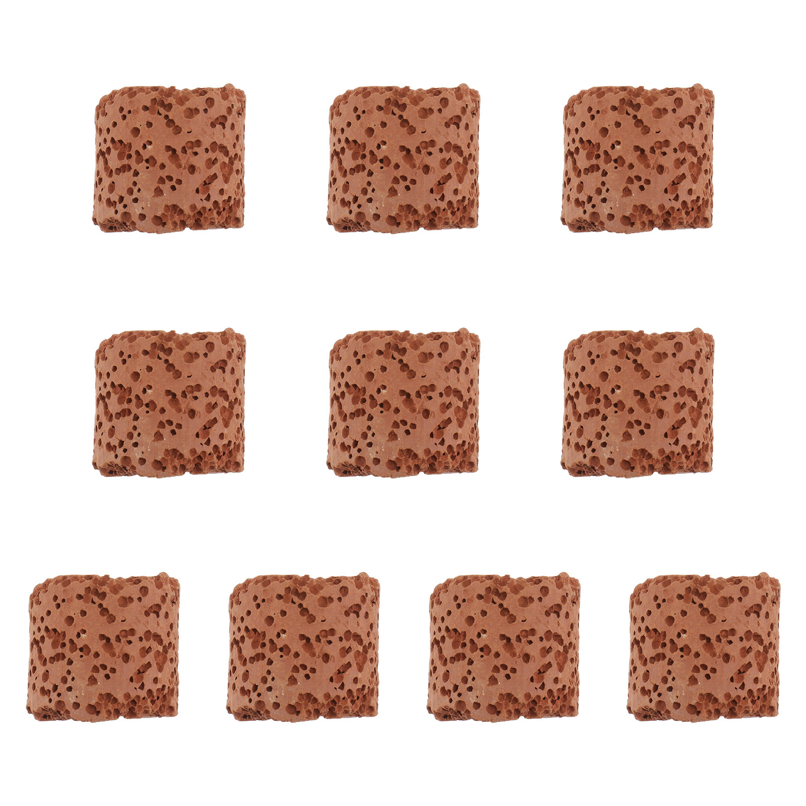 10Pcs Fixed Ring for Aquarium  - Aquarium Fish Tank ulasan dan harga