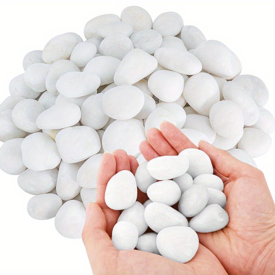 200/400g White High Polished N - Fish Aquarium Home ulasan dan harga