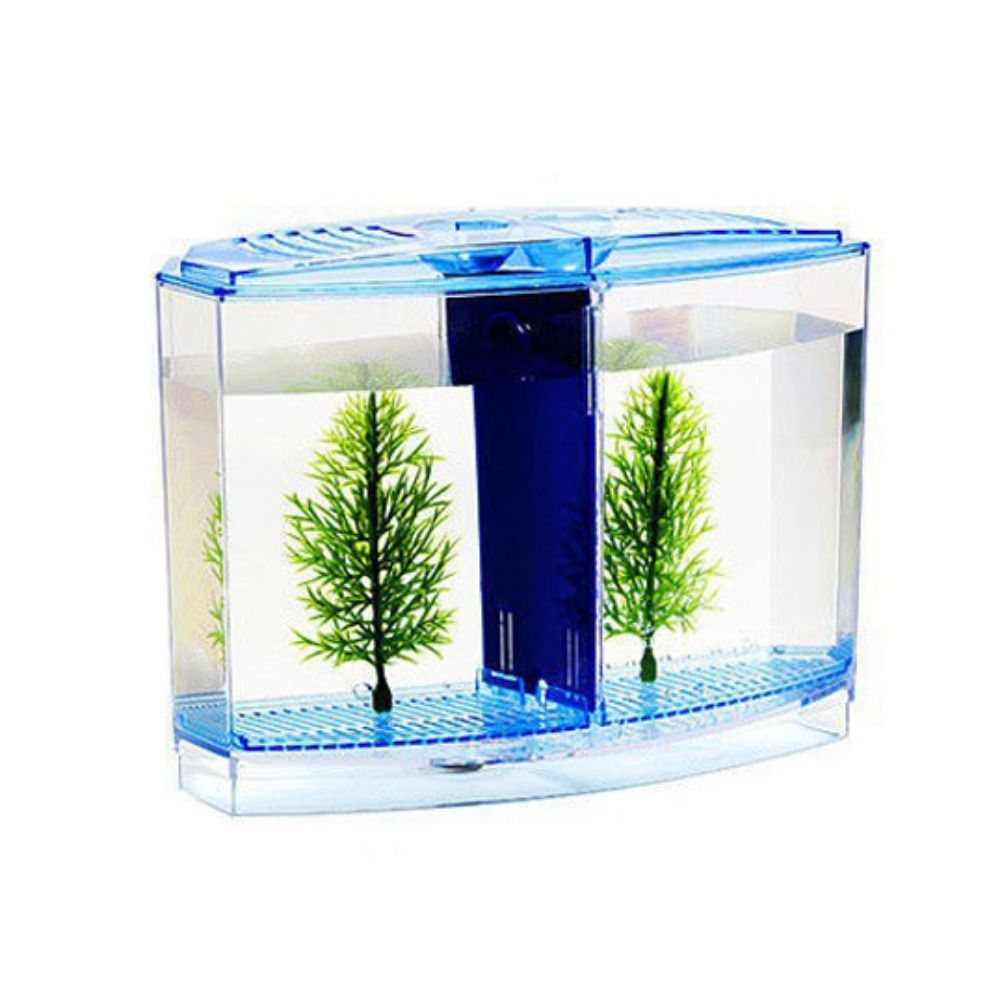 Transparent Betta Fish Tank, D - Betta Fish Tank ulasan dan harga