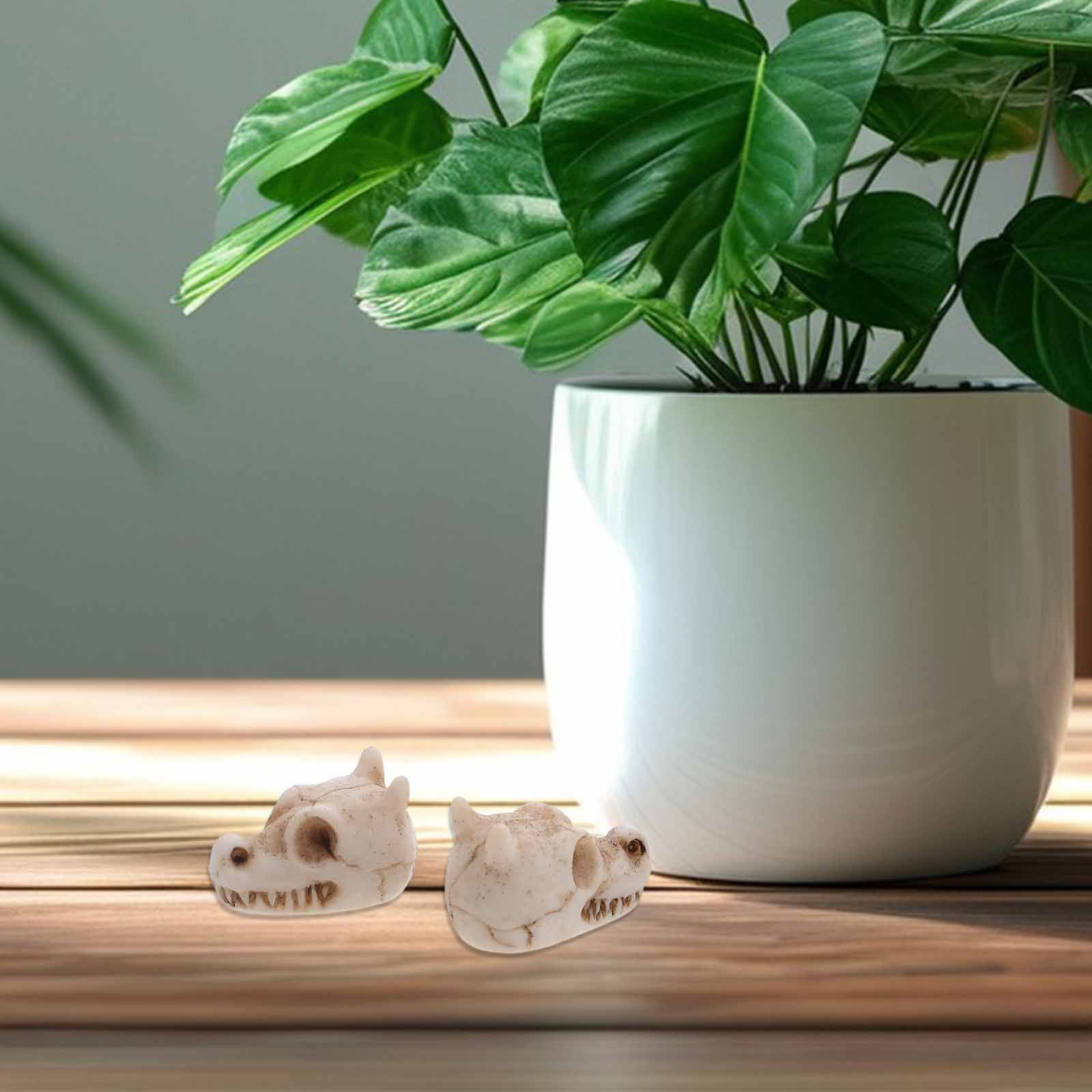 20Pcs Mini Dragon Skull Resin  - Aquarium Decor ulasan dan harga
