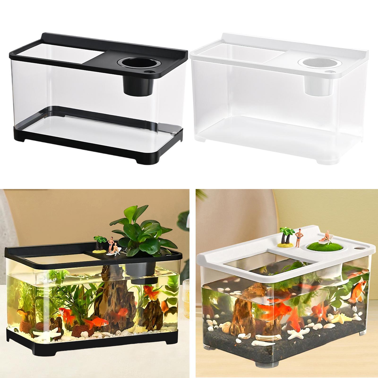 Betta Fish Tank 34x21x20cm Sta - Betta Fish Tank ulasan dan harga