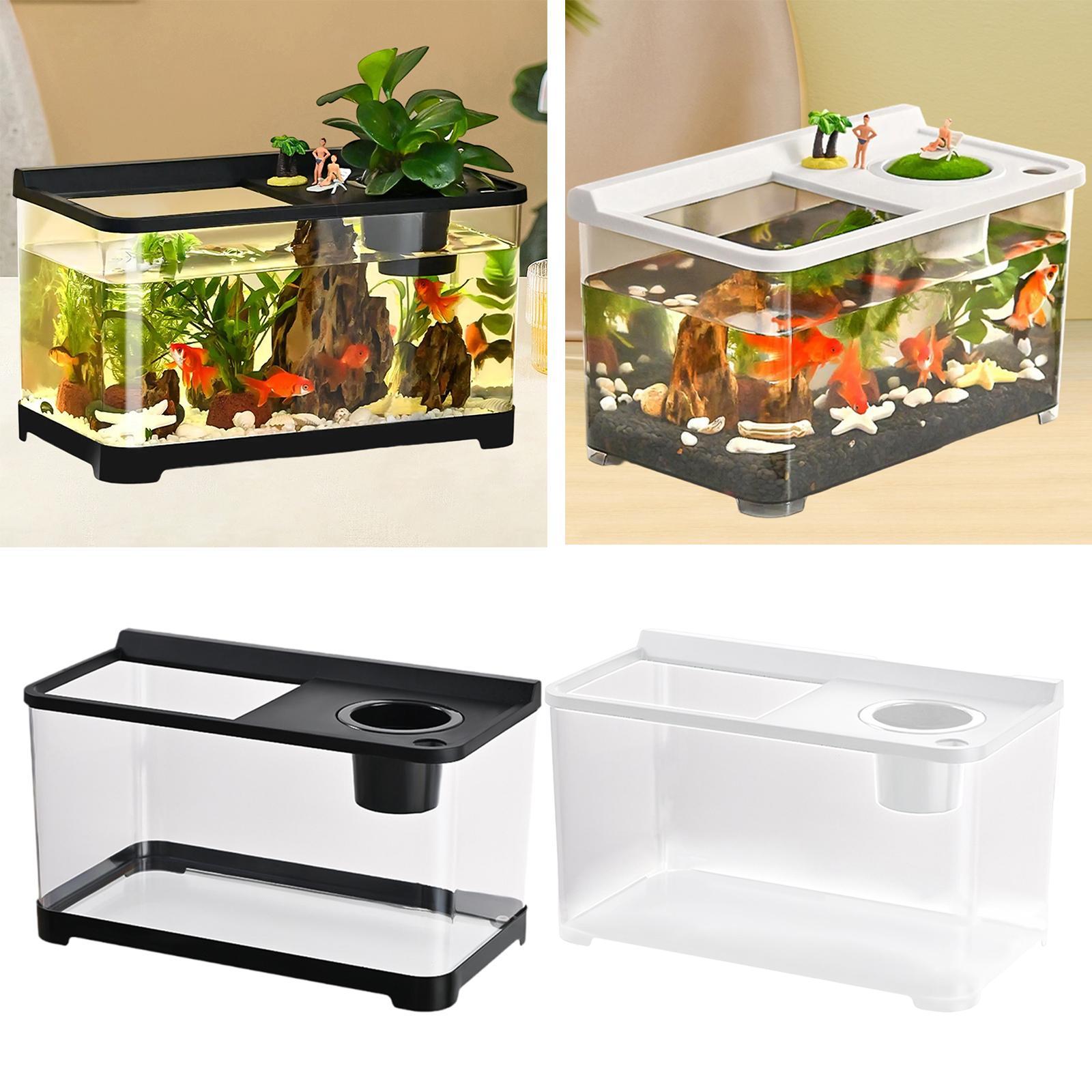 Betta Fish Tank 34x21x20cm Sta - Betta Fish Tank ulasan dan harga